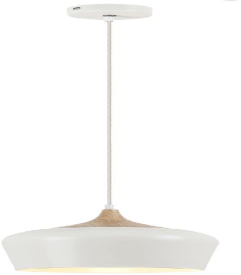 Rabalux Sadie függőlámpa 1x60 W fehér 2563