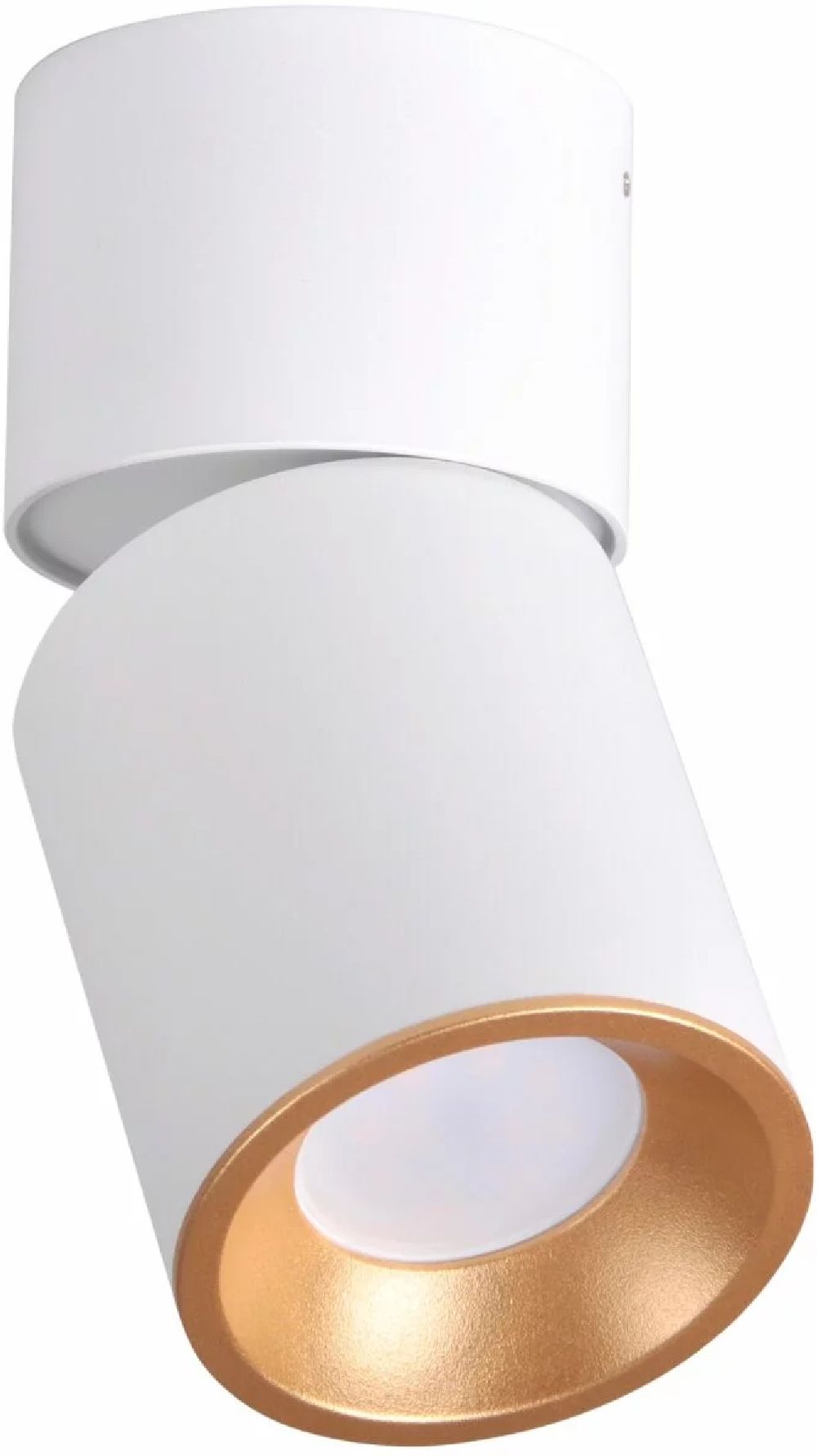 Goldlux Nixa mennyezeti lámpa 1x10 W fehér 314260