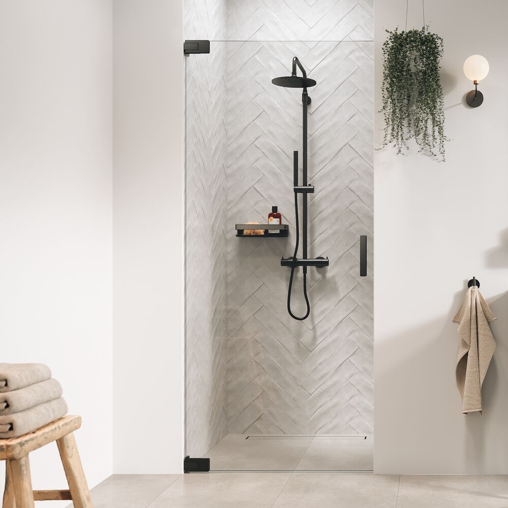 Sealskin Pure zuhanyajtók 100 cm dönthető grafit csiszolt/átlátszó üveg PU141006145100