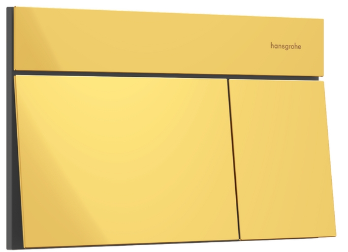 Hansgrohe Element E öblítő gomb WC-hez arany 66003990