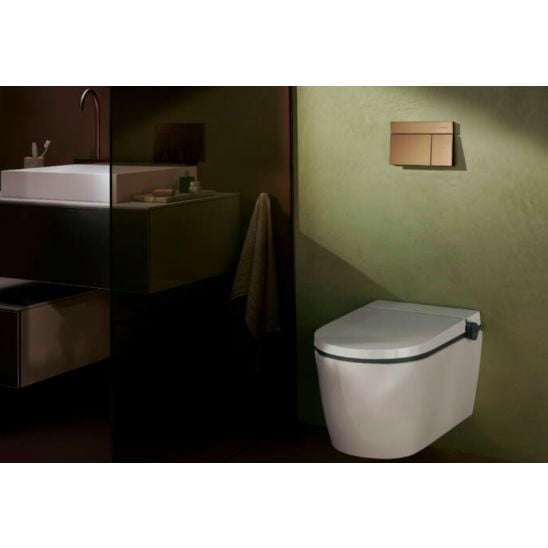 Készlet öblítő gomb Hansgrohe Element E 66003140, WC csésze Hansgrohe EluPura S 60193450, 01022180, 60148450