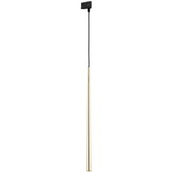 TK Lighting Piano lámpa gyűjtősínekhez 1x6 W fekete-arany 6029