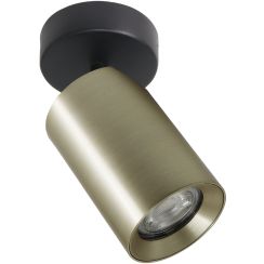 Zuma Line Tore mennyezeti lámpa 1x50 W arany TLS006-GLD